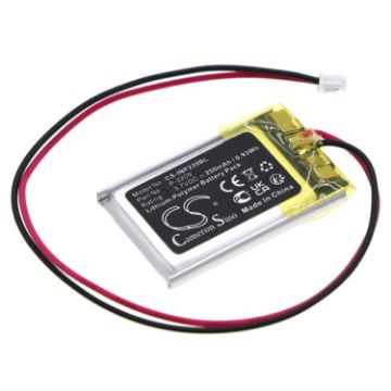 Int Raster P-2209 Battery Replacement for Memory Backup - 1